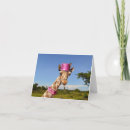 Search for giraffes note cards Wildlife