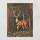Search for oak tree postcards Wildlife