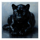 Search for black panther posters Predator