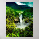 Search for amazon rainforest posters Landscape