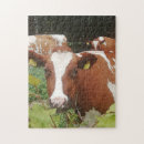 Search for dairy farm puzzles Pasture