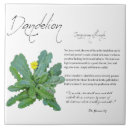 Search for dandelion tiles Plants