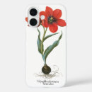 Search for tulip flowers iphone cases Plants