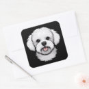 Search for bichon stickers Cute