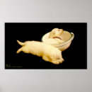 Search for white german shepherd posters Cute
