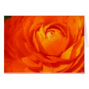 Search for multiple sclerosis flower Flowers