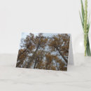 Search for fall get well cards Trees