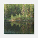 Search for reflection magnets Serene