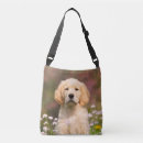 Search for retriever handbags Puppy