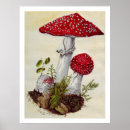 Search for toadstool posters Watercolor