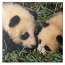 Search for bamboo tiles Animal