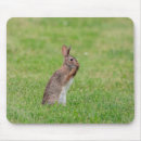Search for easter bunny mousepads Animal