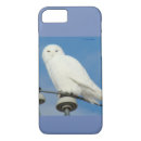 Search for snowy owl iphone cases Owls