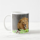 Search for lions mane mugs Zoo