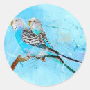 Search for parrot art stickers Watercolor