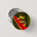 Search for red eyes badges Amphibian