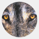 Search for watching eye stickers Funny