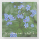 Search for forget me not flowers coasters Botanical