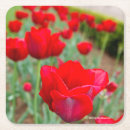 Search for bulb barware Nature