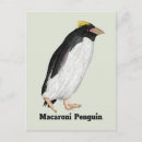 Search for macaroni postcards Nature