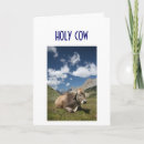 Search for cow love cards I love you