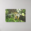 Search for rio canvas prints Wildlife