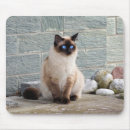 Search for siamese cat mousepads Fur