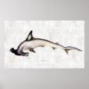 Search for scientific art Illustration