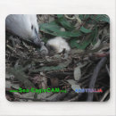 Search for feed mousepads Bird