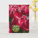 Search for happy birthday tulips postcards Floral photography
