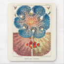 Search for coral sea mousepads Vintage