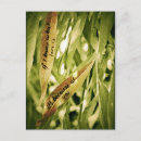 Search for mate vertical postcards Nature