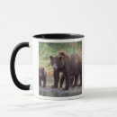 Search for grizzly bear mugs Usa