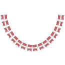 Search for bbq bunting flags Plaid