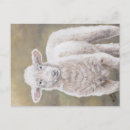 Search for wooly postcards Animal