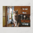 Search for tms Cat
