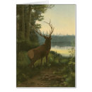 Search for hunting lodge postcards Nature