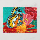 Search for a i postcards Animal