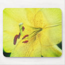 Search for pencil drawing mousepads Floral