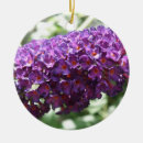 Search for purple butterfly christmas tree decorations Pretty