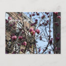 Search for jersey city postcards America