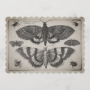 Search for moth invitations Illustration