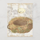 Search for bird eggs postcards Brown