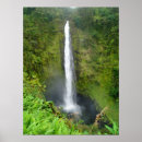 Search for akaka falls Hawaii