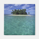 Search for isolated magnets Tropical