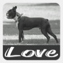 Search for boston terrier dog stickers Puppies