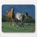 Search for wild mustang electronics Equestrian