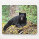 Search for washington state mousepads Park