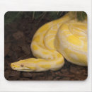 Search for burmese mousepads Yellow