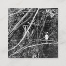 Search for bird watching business cards Photography